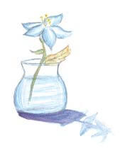 Irah, the Princess blue flower