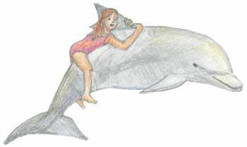 Swimming with the Dolphins riding the dolphin