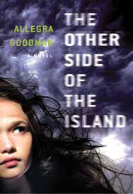 The Other Side of the Island book cover