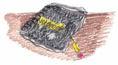 Flows to Bay black book