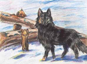 Arcadia, the Adventurous Wolf Girl wolves visiting