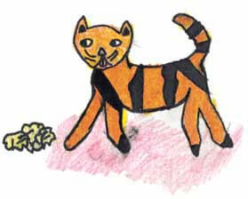 Inspiration yellow cat