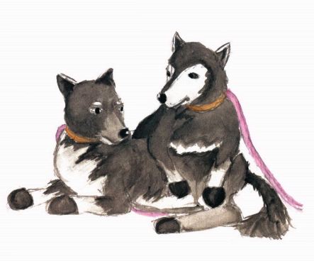 My Great Adventure two dogs