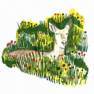 Trek to the Peak deer