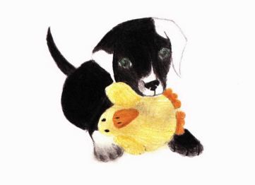 From Terror to Triumph dog with toy