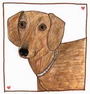 A Winter Walk brown dog