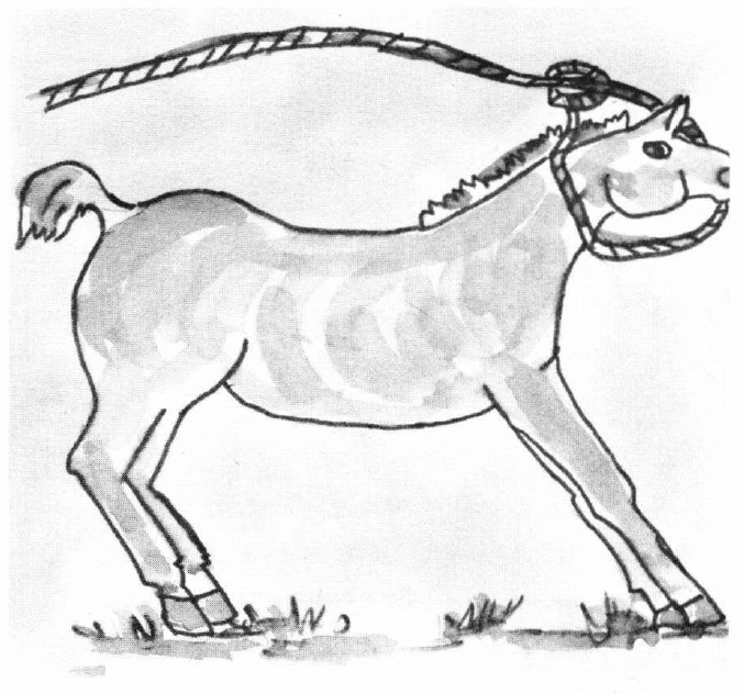 The Adventures of Pumpkin and Seegartus catching the pony