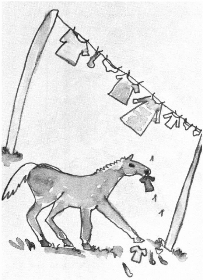 The Adventures of Pumpkin and Seegartus pony at the clothes line