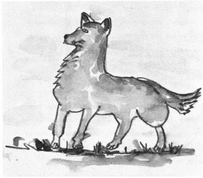 The Adventures of Pumpkin and Seegartus a cat