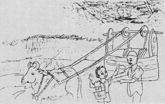 Homemade Crop Duster cow pulled carriage