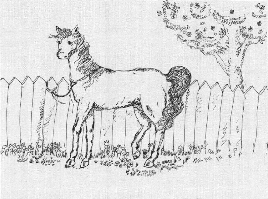 A Ride with Fate a horse tied up