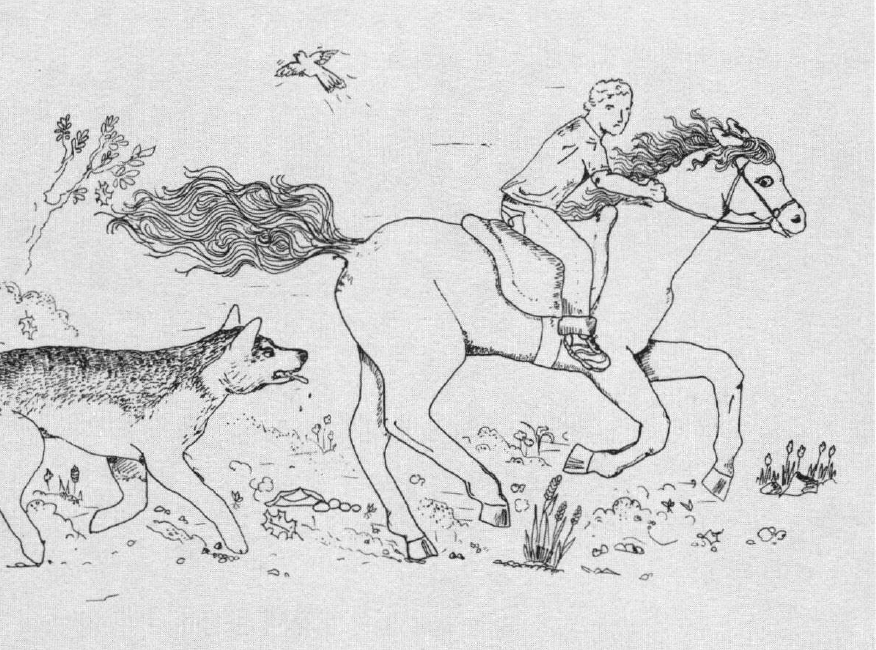 A Ride with Fate Chased by a dog