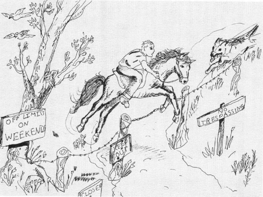 A Ride with Fate out ran by a dog