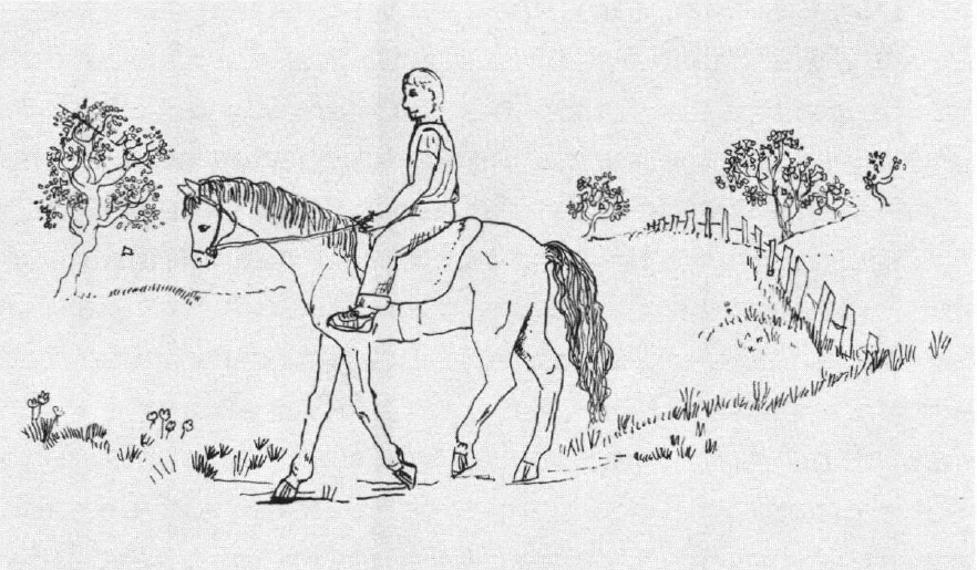 A Ride with Fate Riding a horse