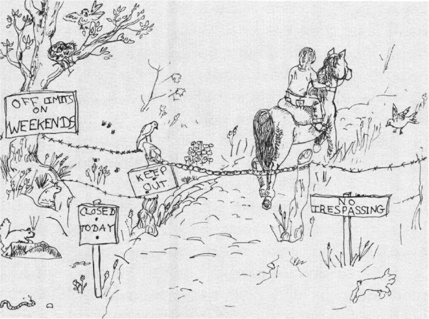 A Ride with Fate Through the off limits