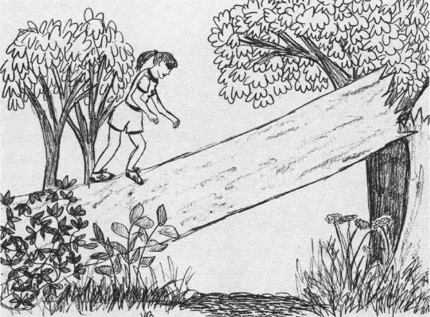 What Will Happen to these Woods climbing on a fallen tree