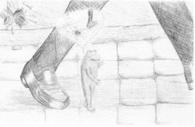 The Enchanted Egg toad walking