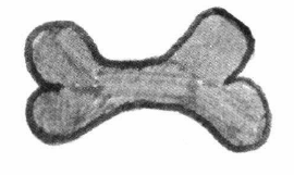 When Smudgie Got Lost! bone