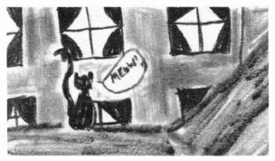 When Smudgie Got Lost! cat's meow