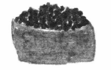 When Smudgie Got Lost! cat foof