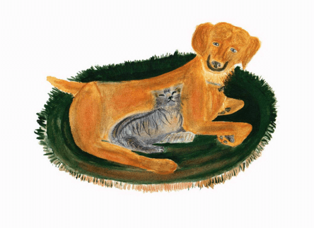 Maddie's Little Miracle dog and cat together