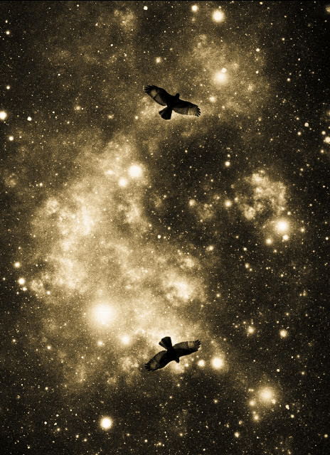 Flight Through the Cosmos