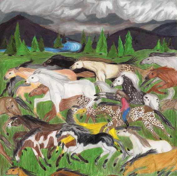 A Secret Freedom horses running