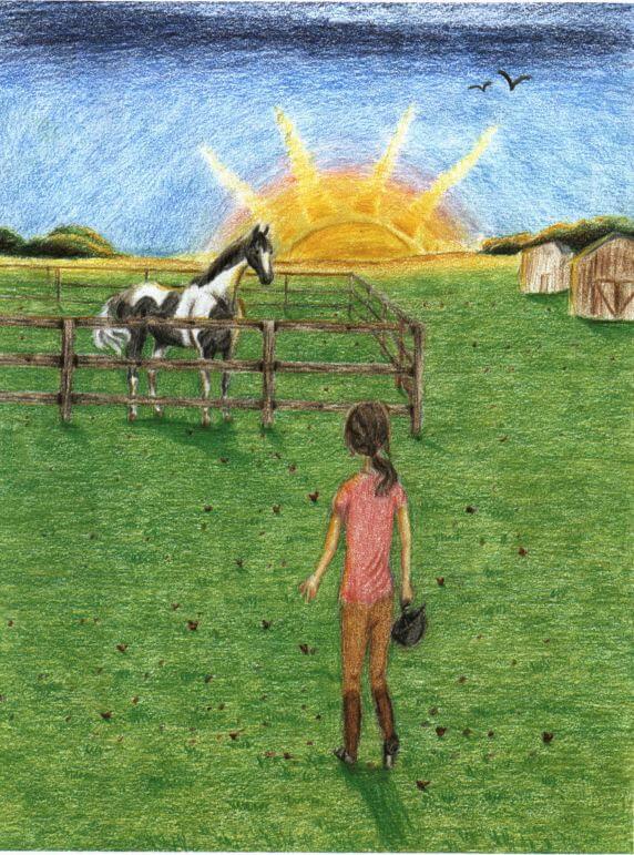 Our Morning looking at the pony