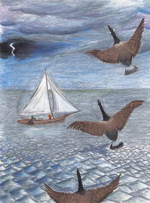 The Migration geese flying