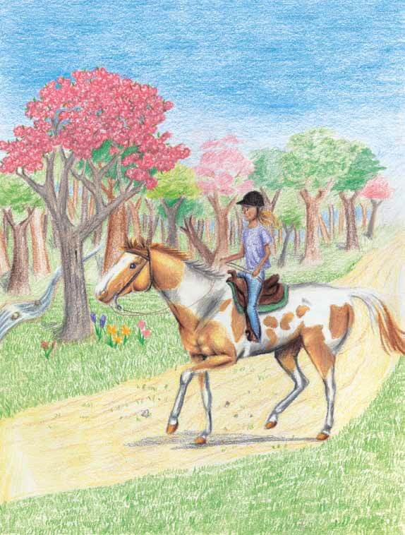 Seahorse riding a horse