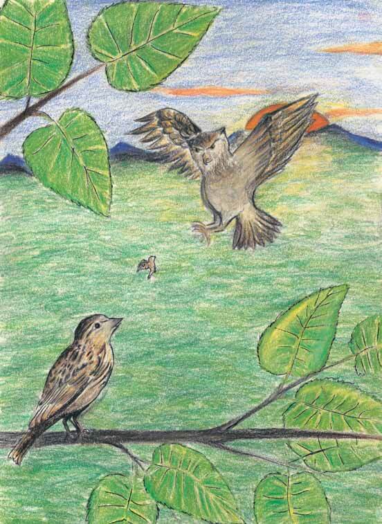 Memory’s Song birds flying