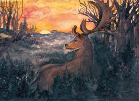 King of the Forest buck watching the sunset