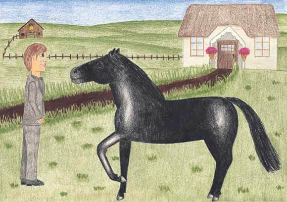 Tear Drop’s Legacy horse in the farm