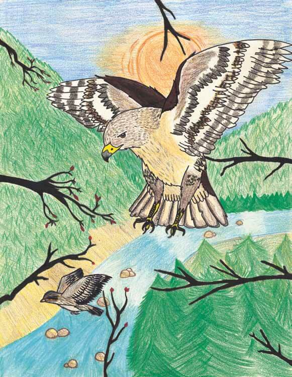 The Sparrow birds on a chase