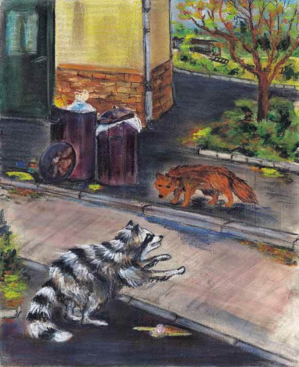 Cry of the Wild Heart fox on the street