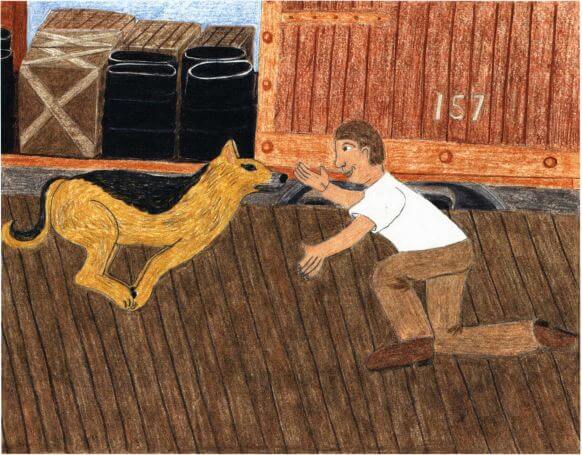 A Dog of War meeting the dog