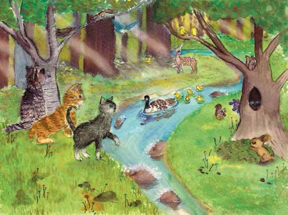 Answers in the Sky cats looking at animals
