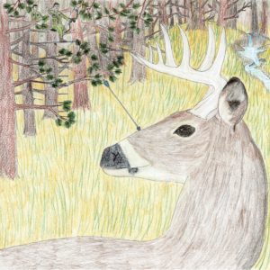 The Hunt deer with arrows
