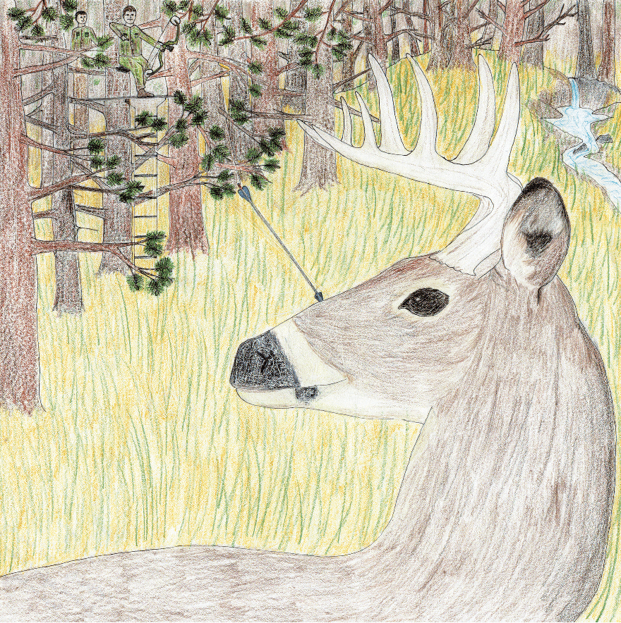 The Hunt deer with arrows