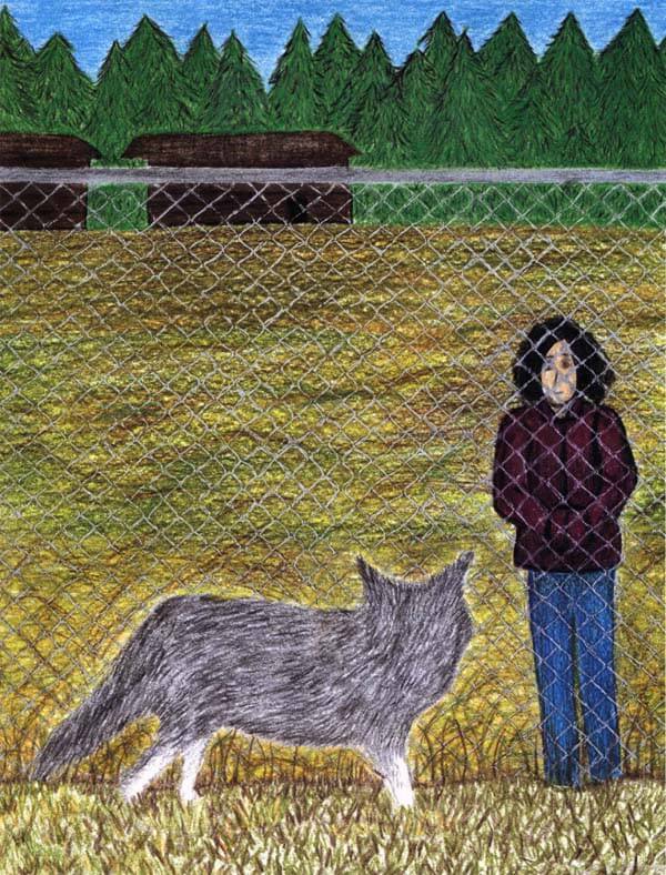the lone wolf wolf outside the fence