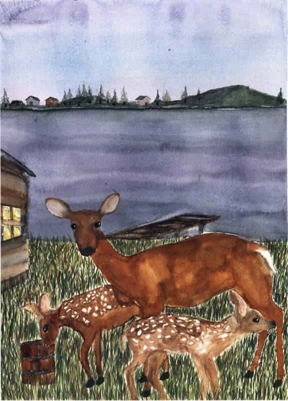 tripod deer family