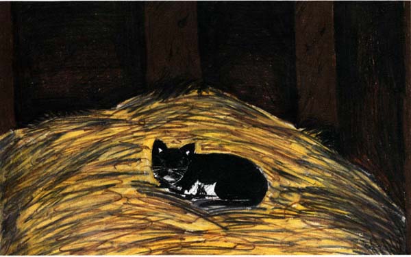 oreo black and white cat