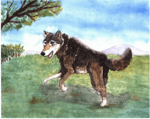 Wolf Hunter a lone wolf