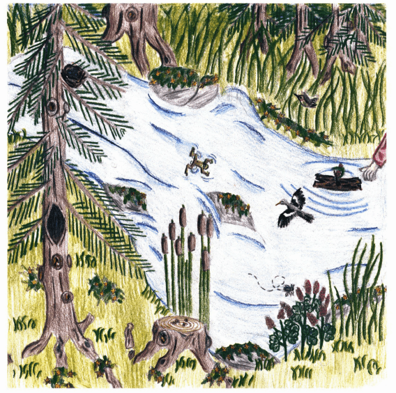 Fairy Ship river in the forest