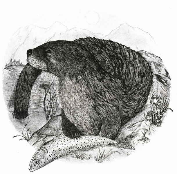 Roscoe otter with fish