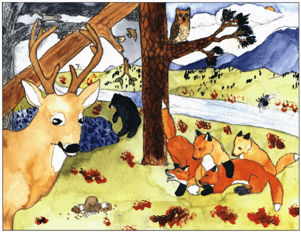Autumn Thunder animals in the forest