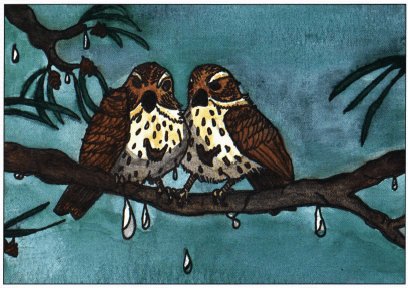 Autumn Thunder sparrows on the branch