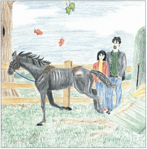 Saving Frizbee thin horse with wound
