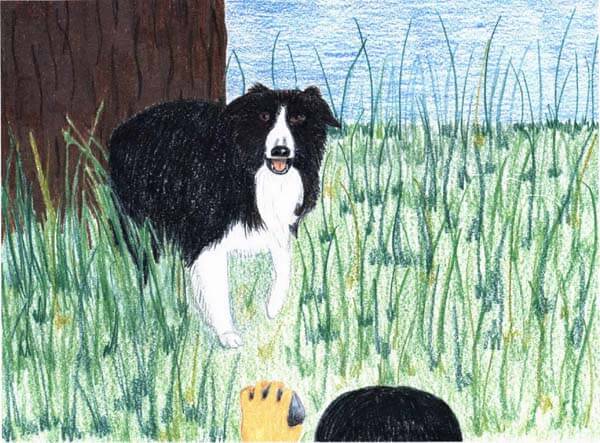 swaying in the breeze black angry dog