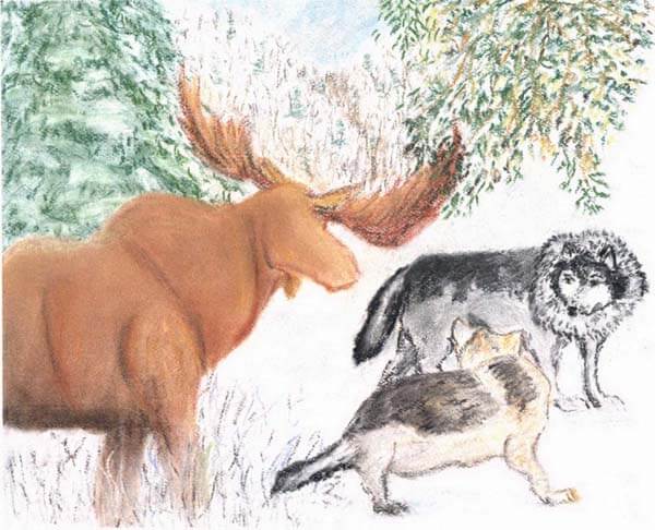 the hunt moose and two wolves